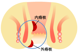 daysurgery_img_1