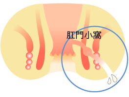 daysurgery_img_3